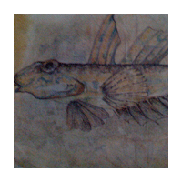 Fisch